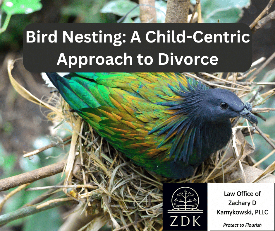 A bird nesting: Bird Nesting A Child-Centric Approach to Divorce