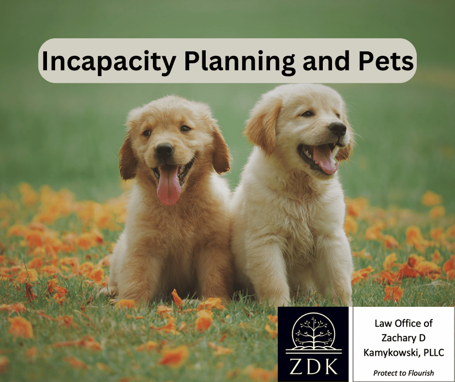 two puppies in a field: Incapacity Planning and Pets