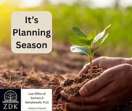 hands holding a seedling: It’s Planning Season