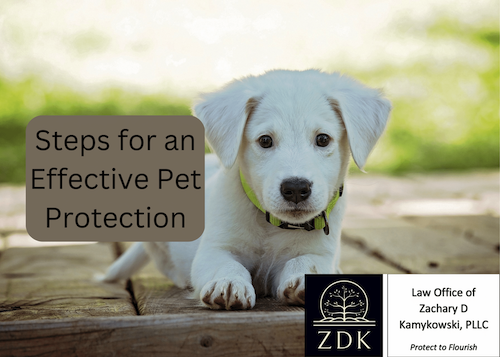Steps for an Effective Pet Protection