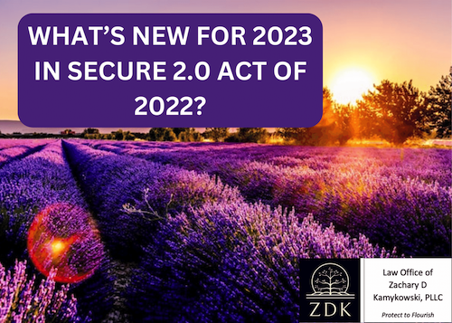 WHAT’S NEW FOR 2023 IN SECURE 2.0 ACT OF 2022