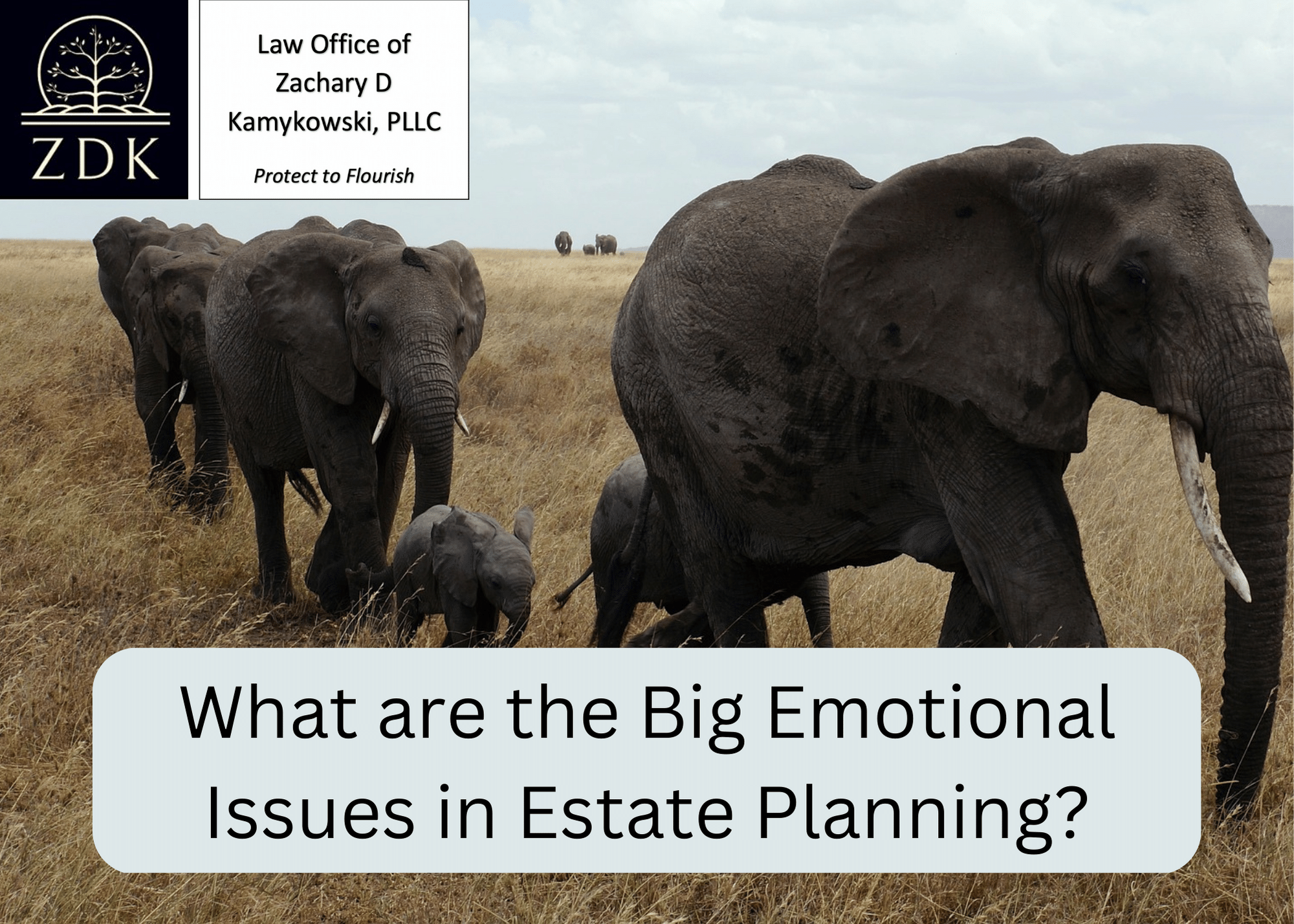 What are the Big Emotional Issues in Estate Planning