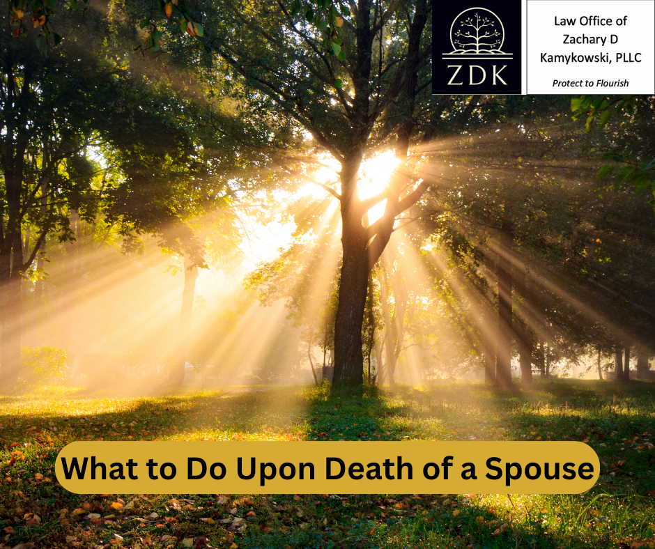 sun rising behind a forested tree: What to Do Upon Death of a Spouse