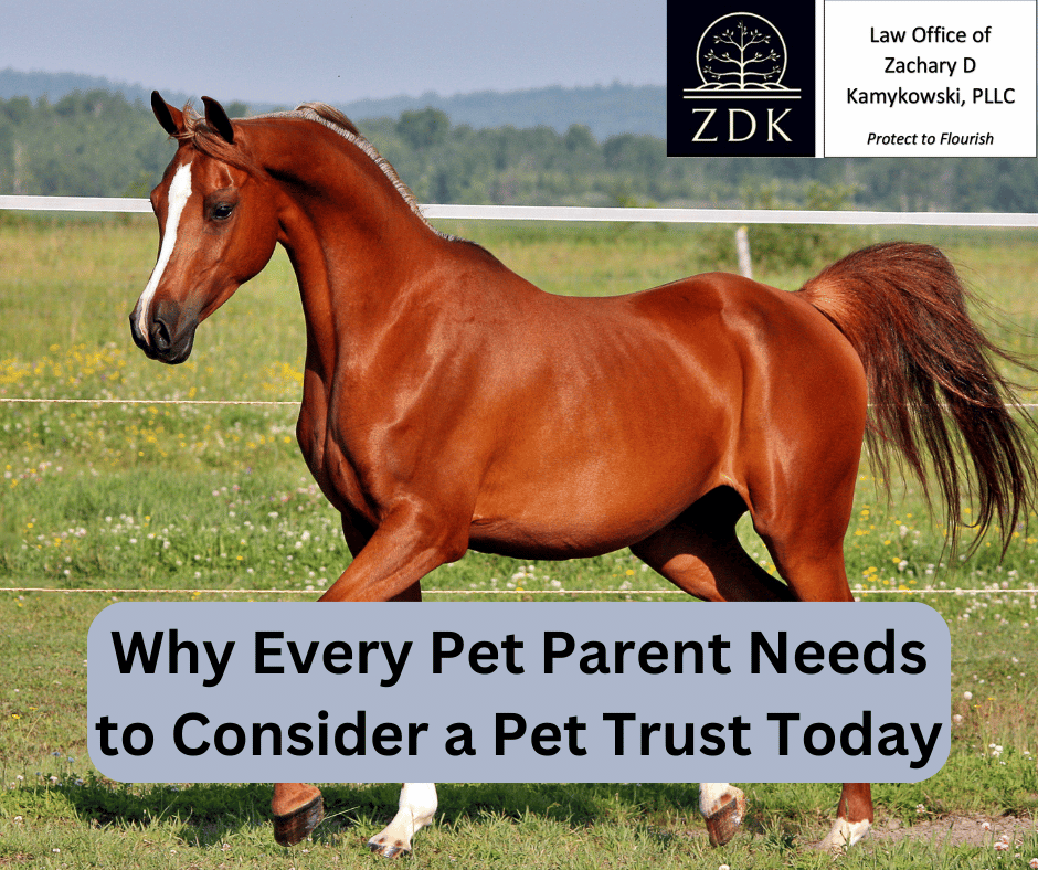 a horse: Why Every Pet Parent Needs to Consider a Pet Trust Today