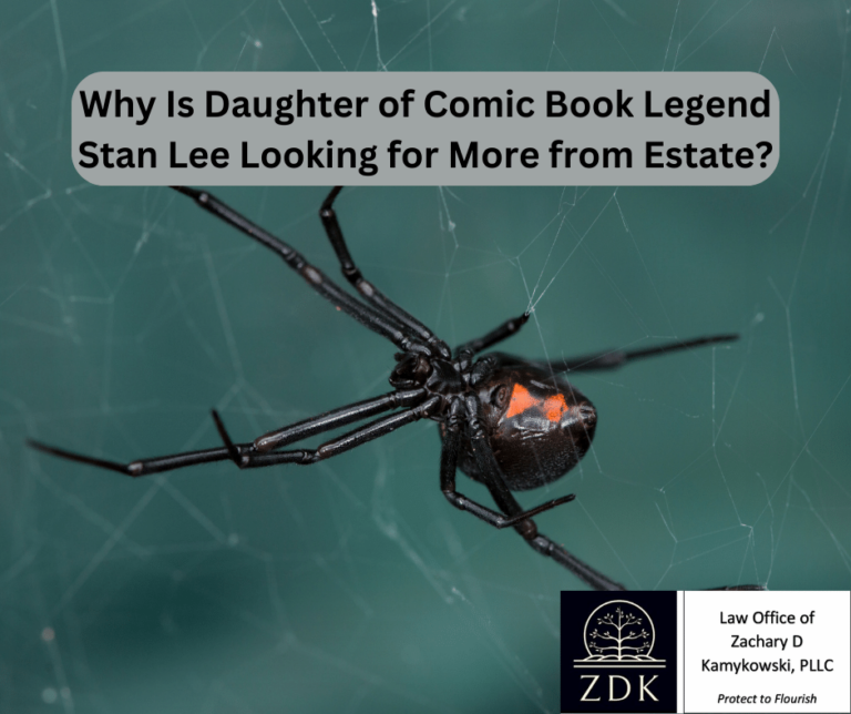 black widow spider in a web: Why Is Daughter of Comic Book Legend Stan Lee Looking for More from Estate
