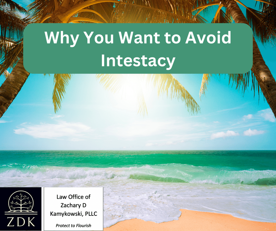 paradise beach view: Why You Want To Avoid Intestacy