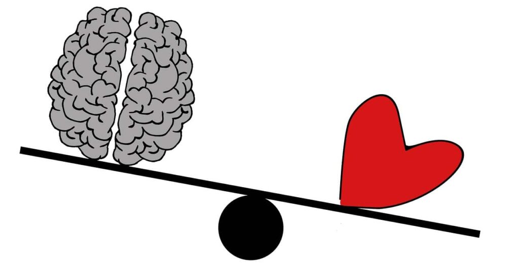 brain, head, psychology-2146168.jpg