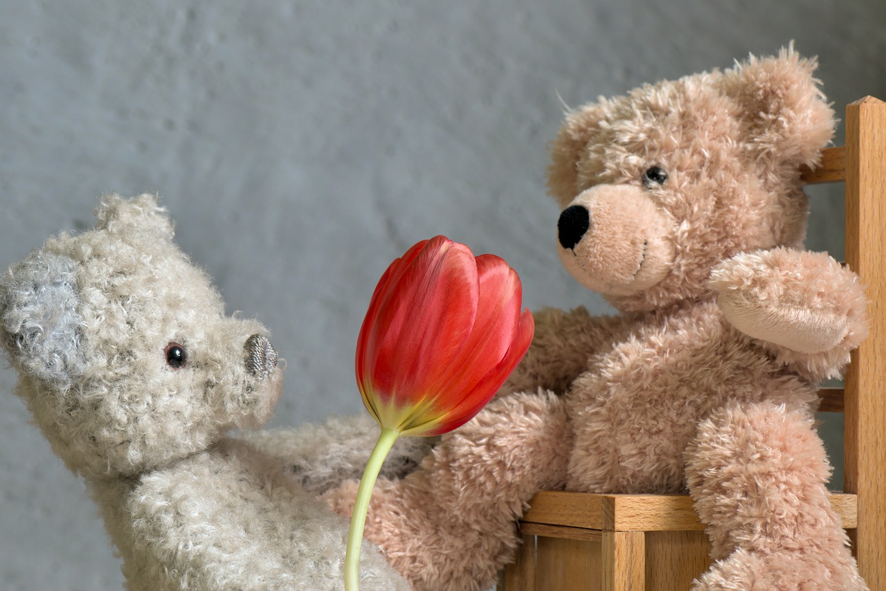 date of birth, valentine's day, teddy bear-6992546.jpg